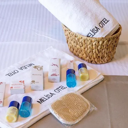 Hotel Melisa Boutique & *